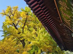 -红螺寺