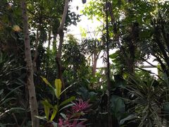 -北京植物园-展览温室