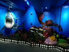 -船奇蒸汽海鲜·闽菜(八市海鲜总店)