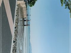-深圳湾公园(南山区)