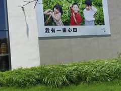 -百味园土菜馆(迎宾东路店)