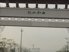 -天适樱花悠乐园