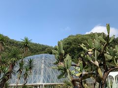 -深圳仙湖植物园