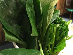 -草原塞蛮羊火锅城(港湾店)