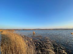 -野鸭湖国家湿地公园