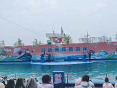 -秦皇岛新澳海底世界