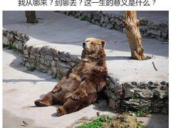 -采薇庄园四季滑雪场