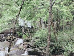 -姑婆山旅游区