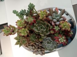 -颜蕾医美·黄金微针·水光·玻尿酸·超声炮·抗衰中心