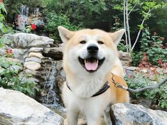 -静之湖度假区