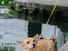 -东钱湖小普陀景区