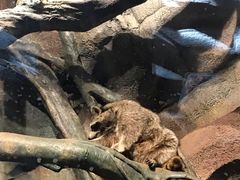 -哈尔滨波塞冬海底世界