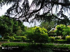 -贮水山儿童公园
