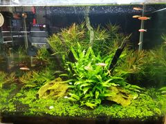 -船歌·鱼水饺青岛菜(合肥路永旺店)