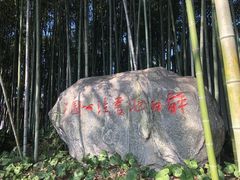 -上海醉白池公园