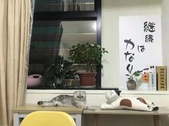 -猫音日语留学培训