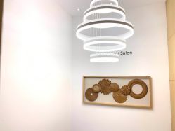 -THE LOG SALON 记录