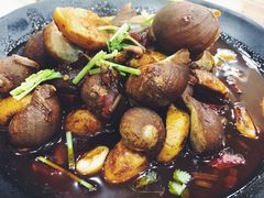 酱爆鲍鱼螺-老虎滩大连海鲜烧烤(建邺云锦路总店)