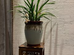 -荷风细雨·中国茶宴(世纪大道店)