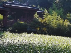 -法云安缦酒店