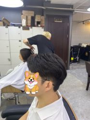 -藤野造型烫发染发