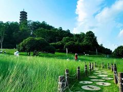 -红花山公园