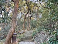 -九曜山