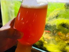 -雪梨精酿 Sydney Coast Brewing(沁春家园店)