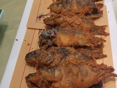 -小北江河鲜(新城店)