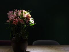 -半山腰·云南菜(侨福芳草地店)