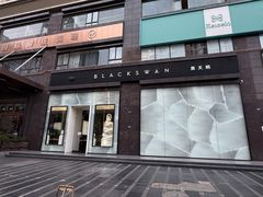 -BLACKSWAN黑天鹅(新希望店)