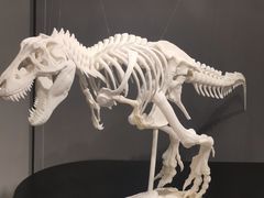 -中国3D打印文化博物馆