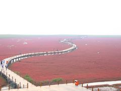 -红海滩国家风景廊道