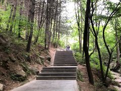 -王顺山国家森林公园