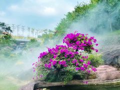 -广州莲花山旅游区