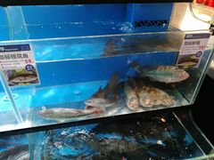 -盒马鲜生(曜一城店)