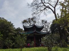 -柳侯公园