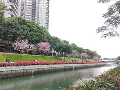 -深圳湾公园(南山区)