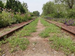 -永定河休闲森林公园