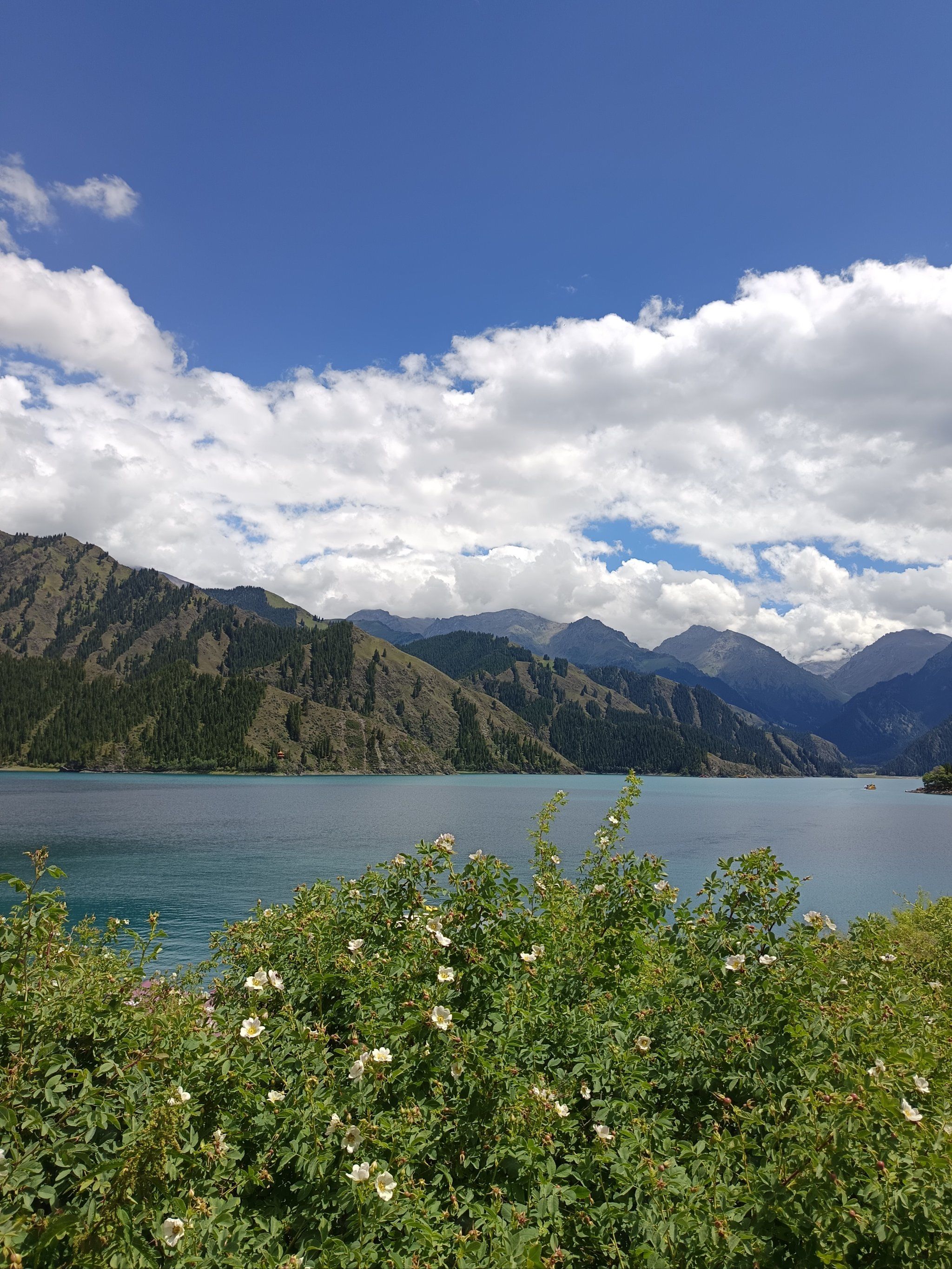 景色美得让人沉醉