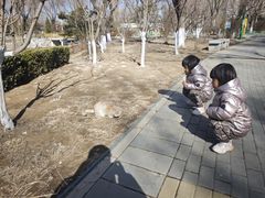 -燕郊植物园