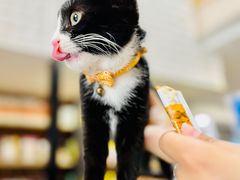 -爱派特动物医院·全科诊疗中心