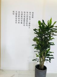 -美酱公社·轻奢美肤中心