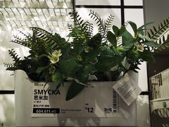-宜家家居(哈尔滨商场店)