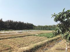 -呼吸森林·生态农庄农家乐私房菜