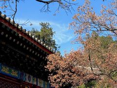 -香山公园