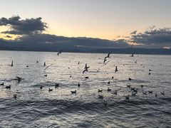 -大理洱海