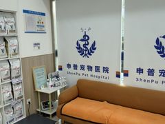 -申普宠物医院·眼科·心内科·影像科(普陀分院)