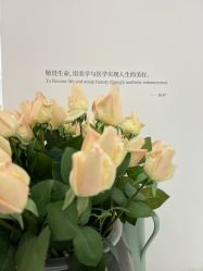 -Dr.U博士医疗美容医院