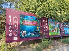 -西青郊野公园